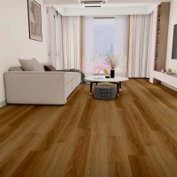 WhatsApp Image 2025-10-03 at 16.15.15