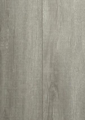 Winter Oak Winter Oak